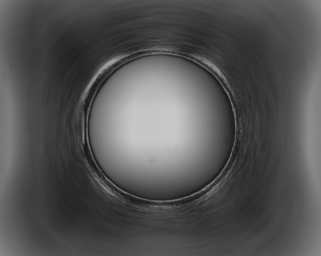 X0000086761123200704130808