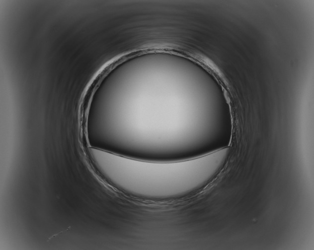 X0000086761124200704130808