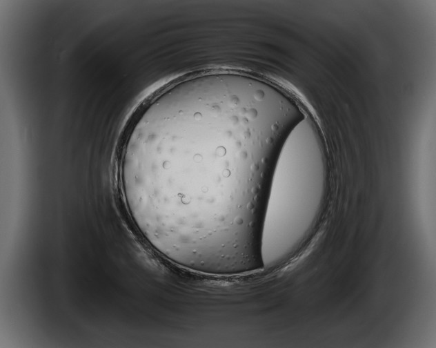 X0000086761125200704130808
