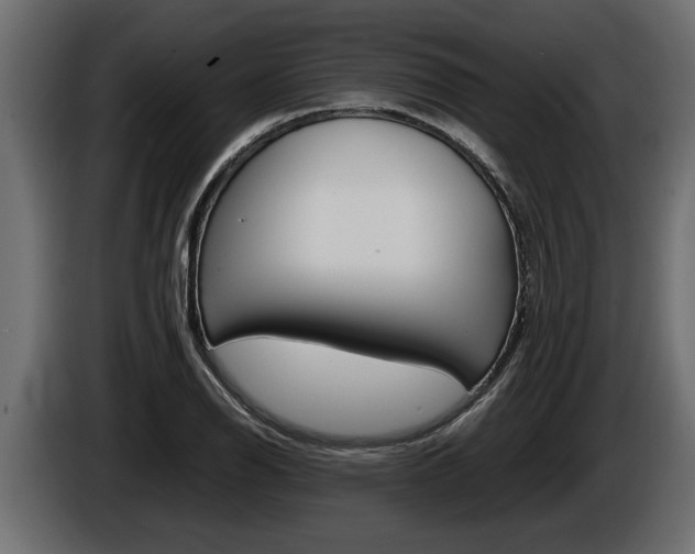 X0000086761126200704130808