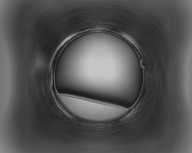 X0000086761127200704130808