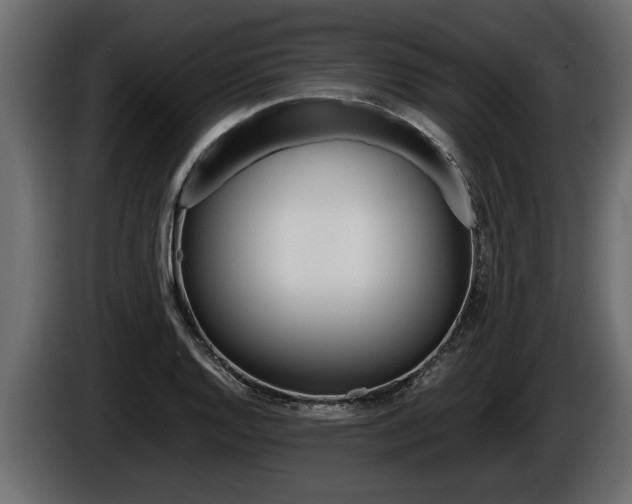 X0000086761128200704130808