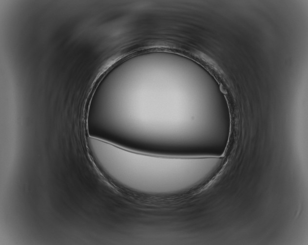 X0000086761129200704130808
