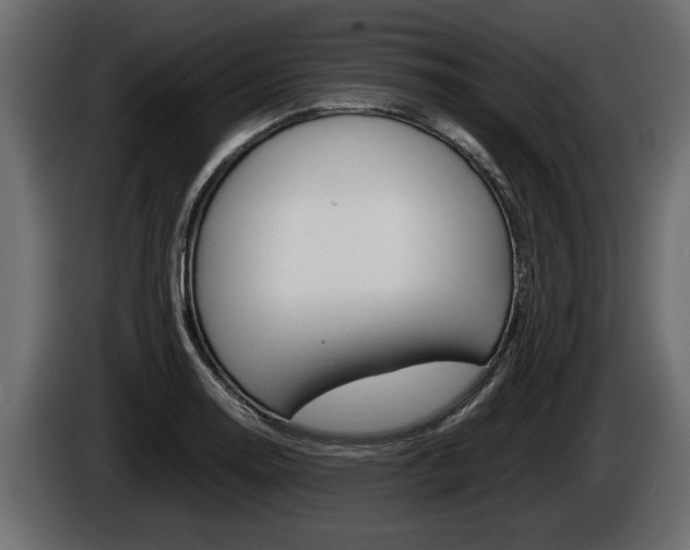 X0000086761130200704130808