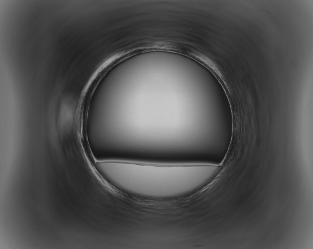 X0000086761131200704130808