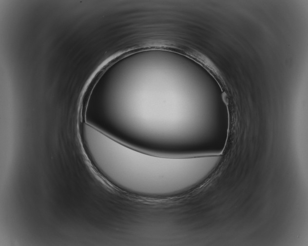 X0000086761132200704130808