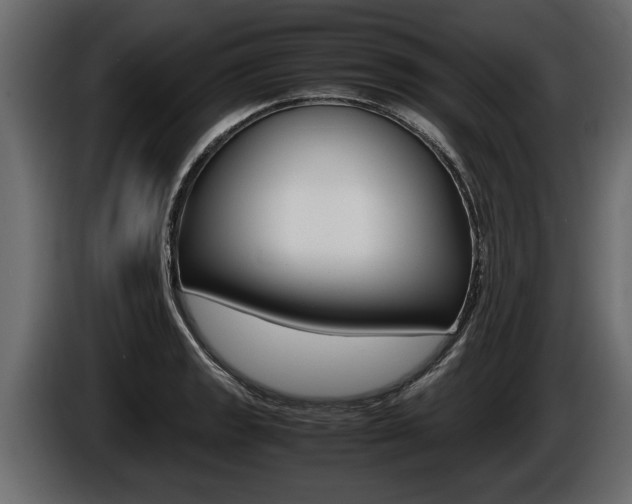 X0000086761133200704130809