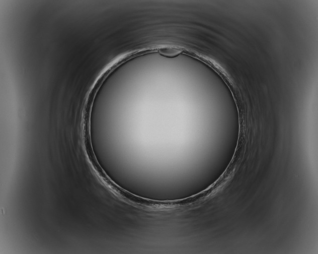 X0000086761134200704130809