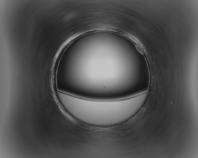 X0000086761136200704130809