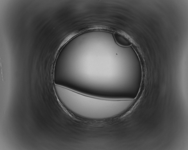 X0000086761137200704130809