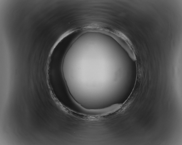 X0000086761138200704130809