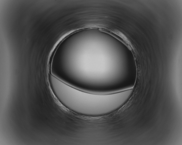 X0000086761140200704130809