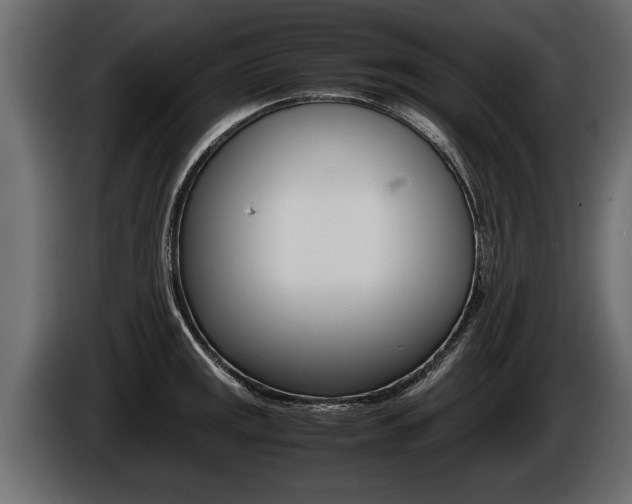X0000086761141200704130809