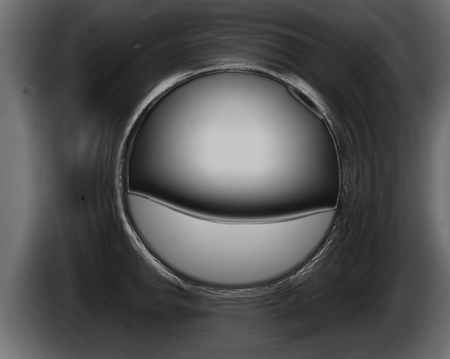 X0000086761142200704130809
