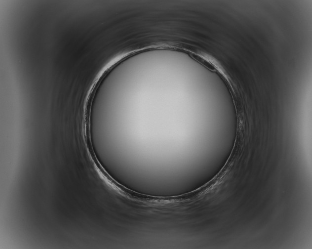 X0000086761143200704130809