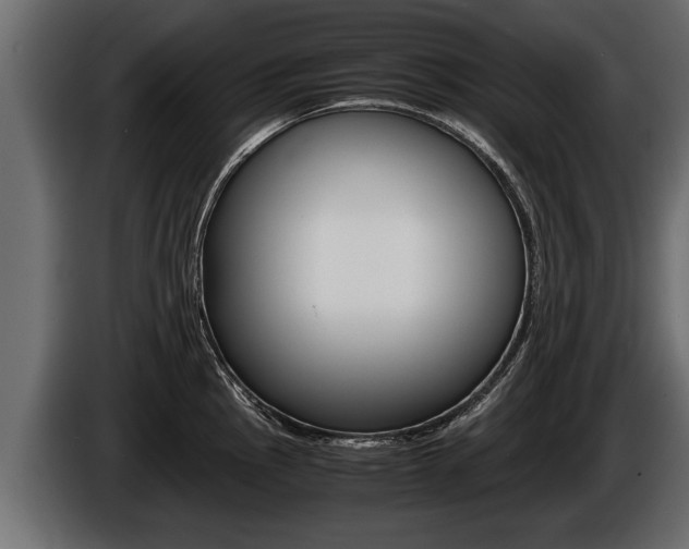 X0000086761145200704130809