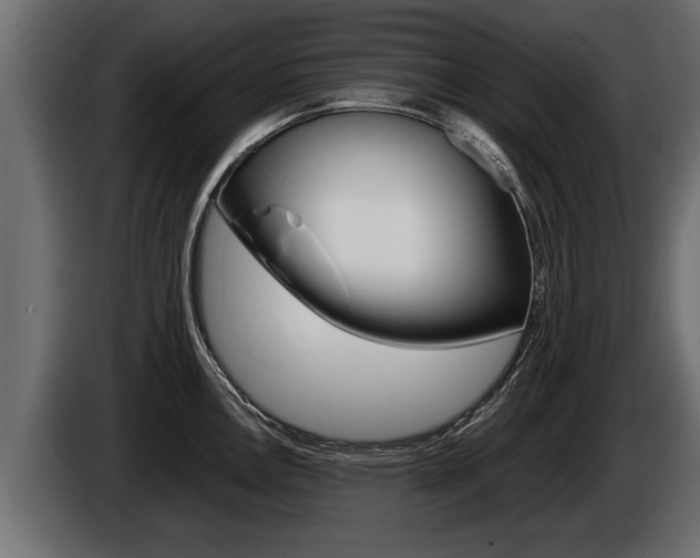 X0000086761146200704130809
