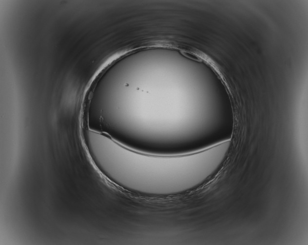 X0000086761147200704130809