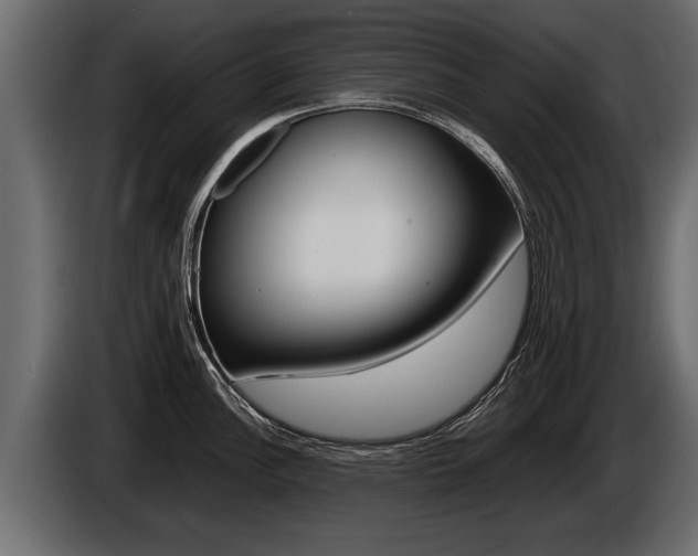 X0000086761148200704130809