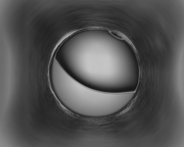 X0000086761149200704130809