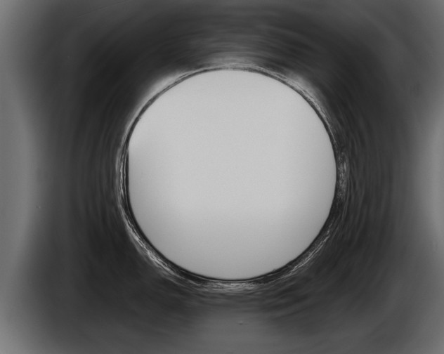 X0000086761150200704130809