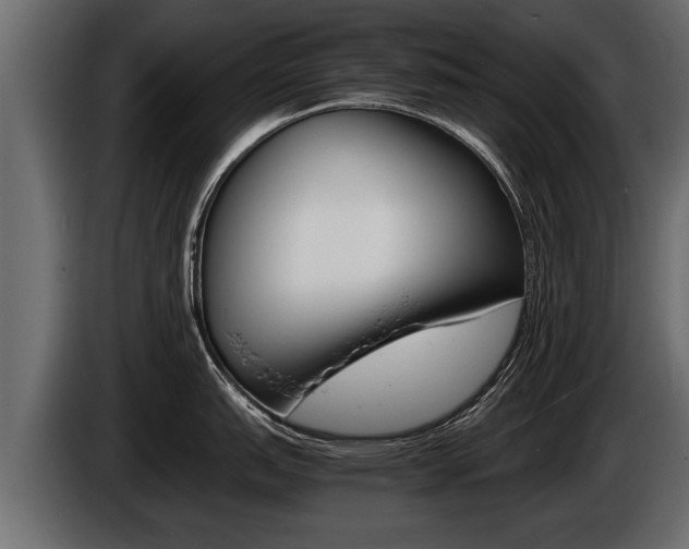 X0000086761151200704130809