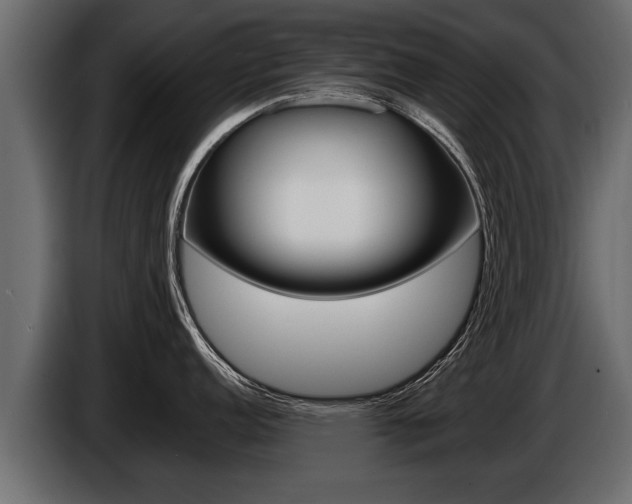 X0000086761152200704130809