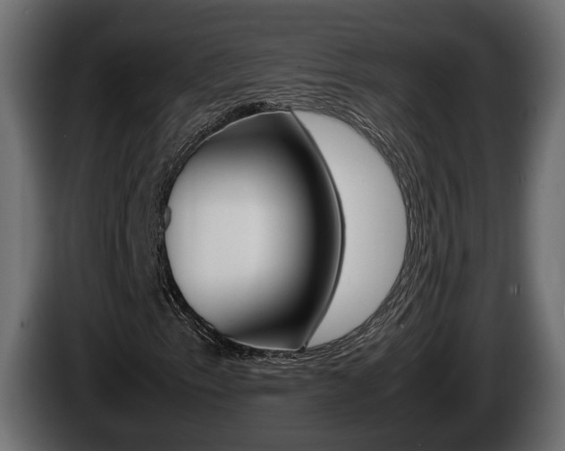 X0000086761153200704130808