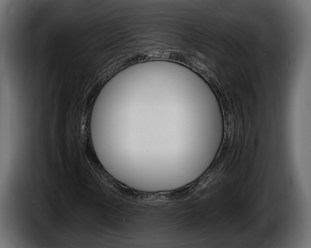 X0000086761154200704130808