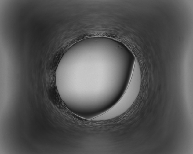 X0000086761157200704130808