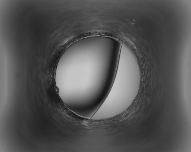 X0000086761159200704130808
