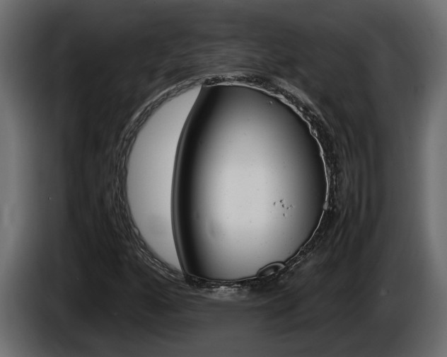X0000086761160200704130808