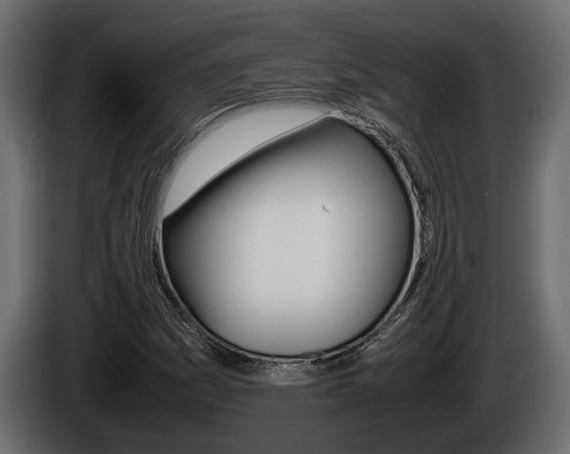 X0000086761161200704130808