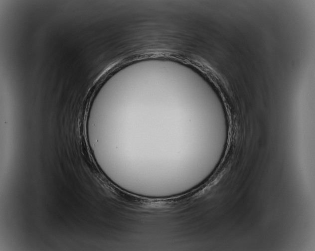 X0000086761162200704130808