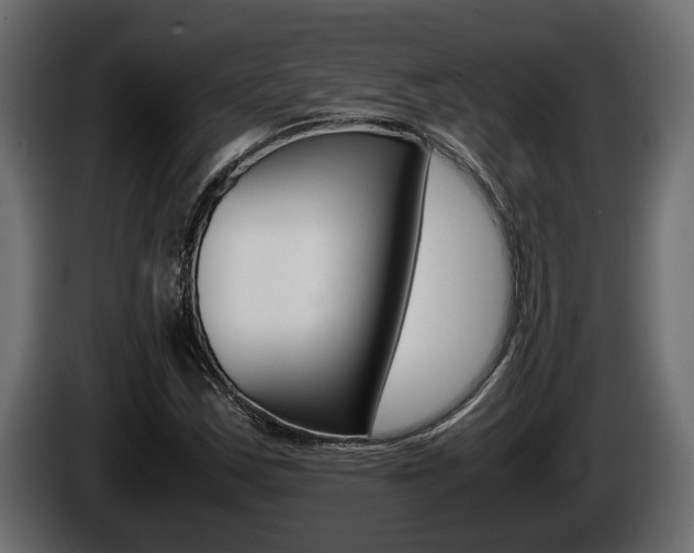 X0000086761163200704130808