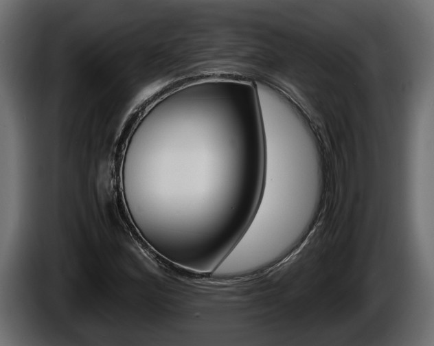 X0000086761164200704130808