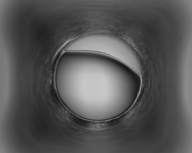 X0000086761165200704130808