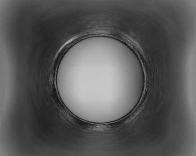 X0000086761166200704130808