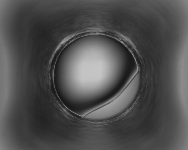 X0000086761168200704130808
