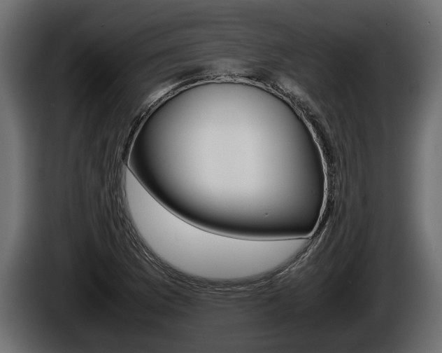 X0000086761169200704130808