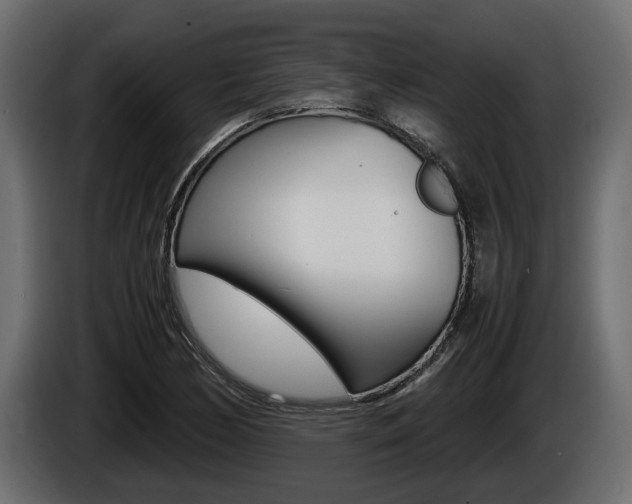 X0000086761170200704130808