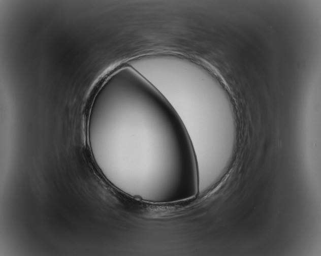 X0000086761171200704130808
