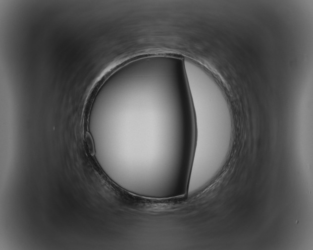 X0000086761173200704130808