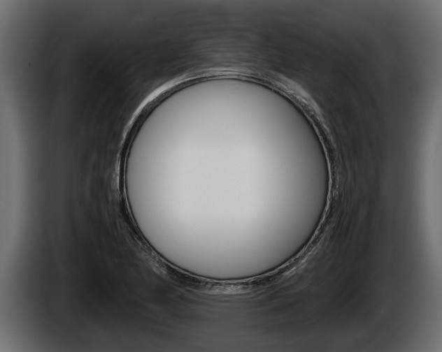 X0000086761174200704130808
