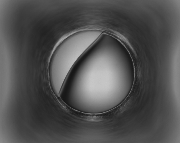 X0000086761176200704130808