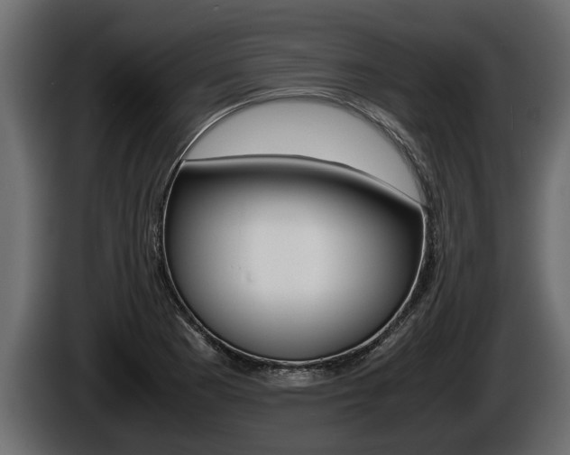 X0000086761177200704130808