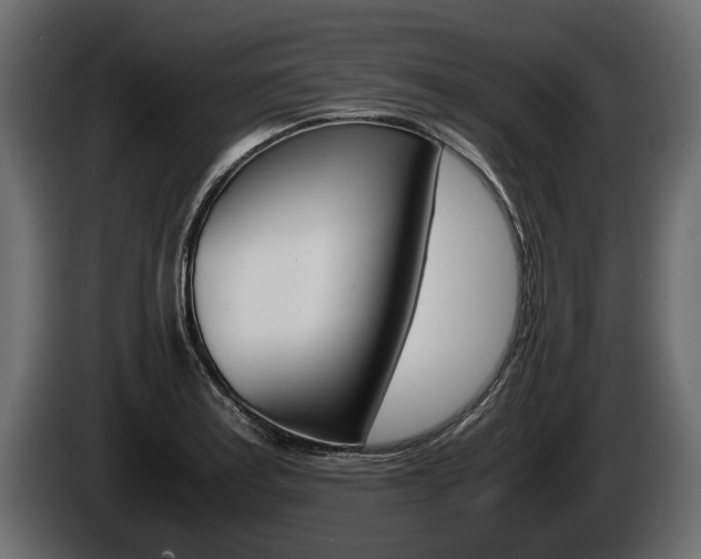 X0000086761179200704130808