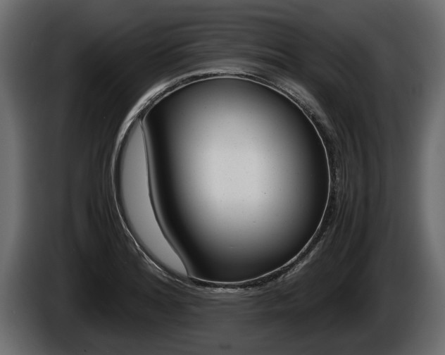 X0000086761180200704130808