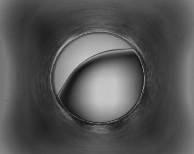 X0000086761181200704130808