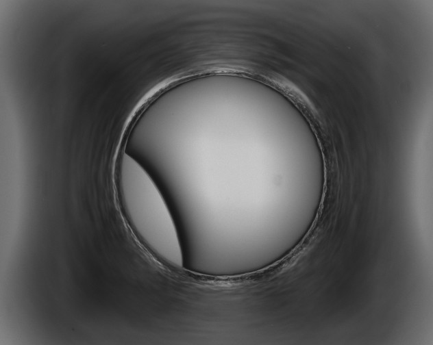 X0000086761182200704130808